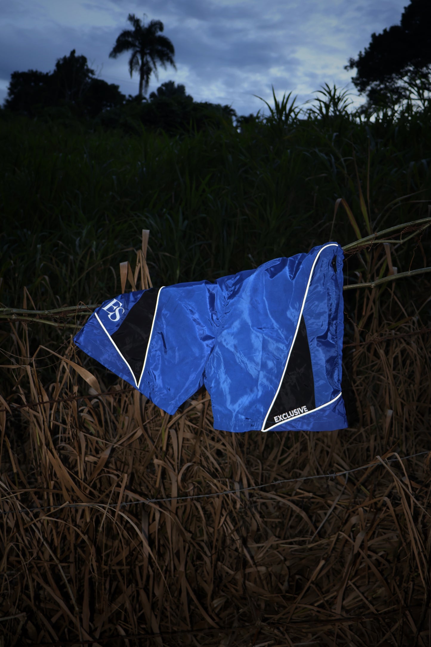 EXCLUSIVE BLUE FORM SHORTS
